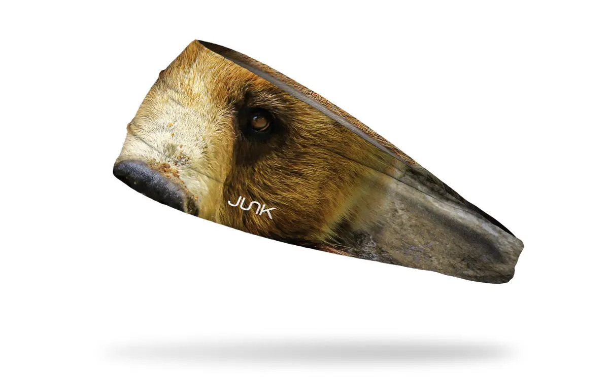Grizzly Bear Big Bang Lite Headband 1