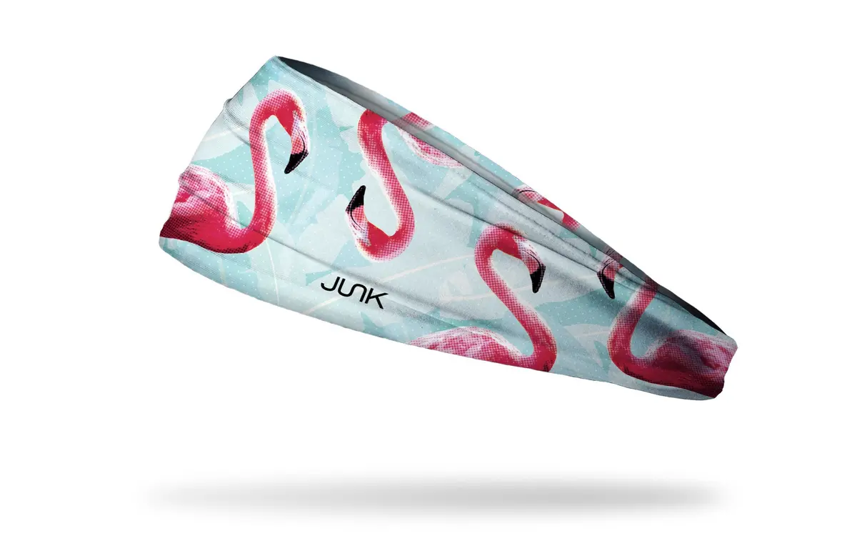 Bird Of Paradise Big Bang Lite Headband 1