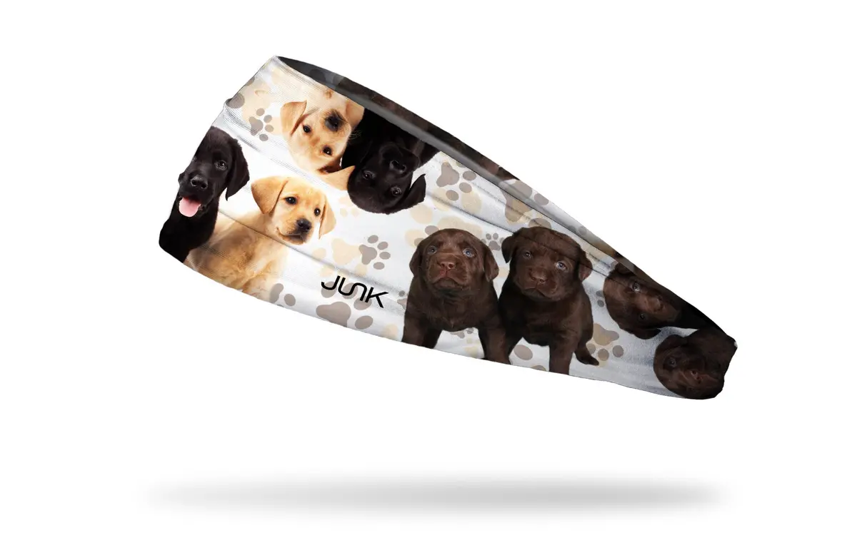 Puppy Sundae Big Bang Lite Headband 1