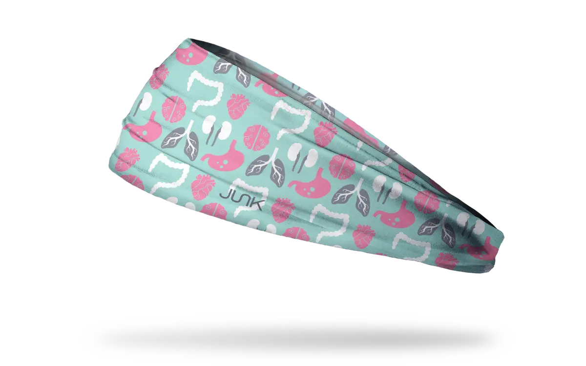 Anatomy Fanatic Big Bang Lite Headband 1