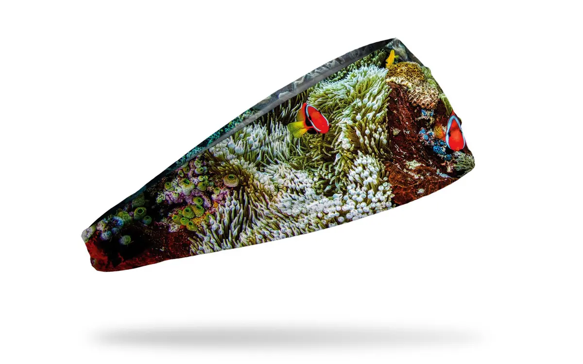 Casa Del Clownfish Big Bang Lite Headband 1