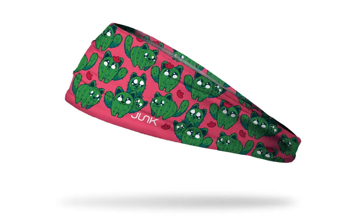 Catcus Big Bang Lite Headband 1