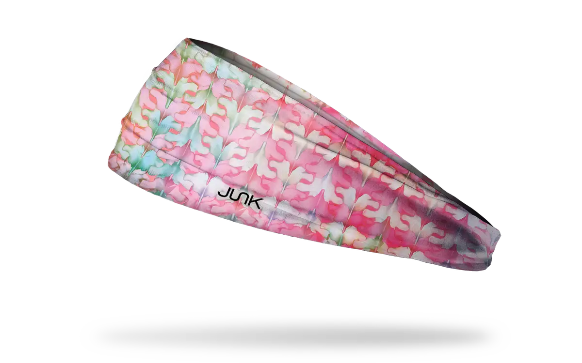 Dr. Betsy Grunch: Vibrant Vertebrae Big Bang Lite Headband 1