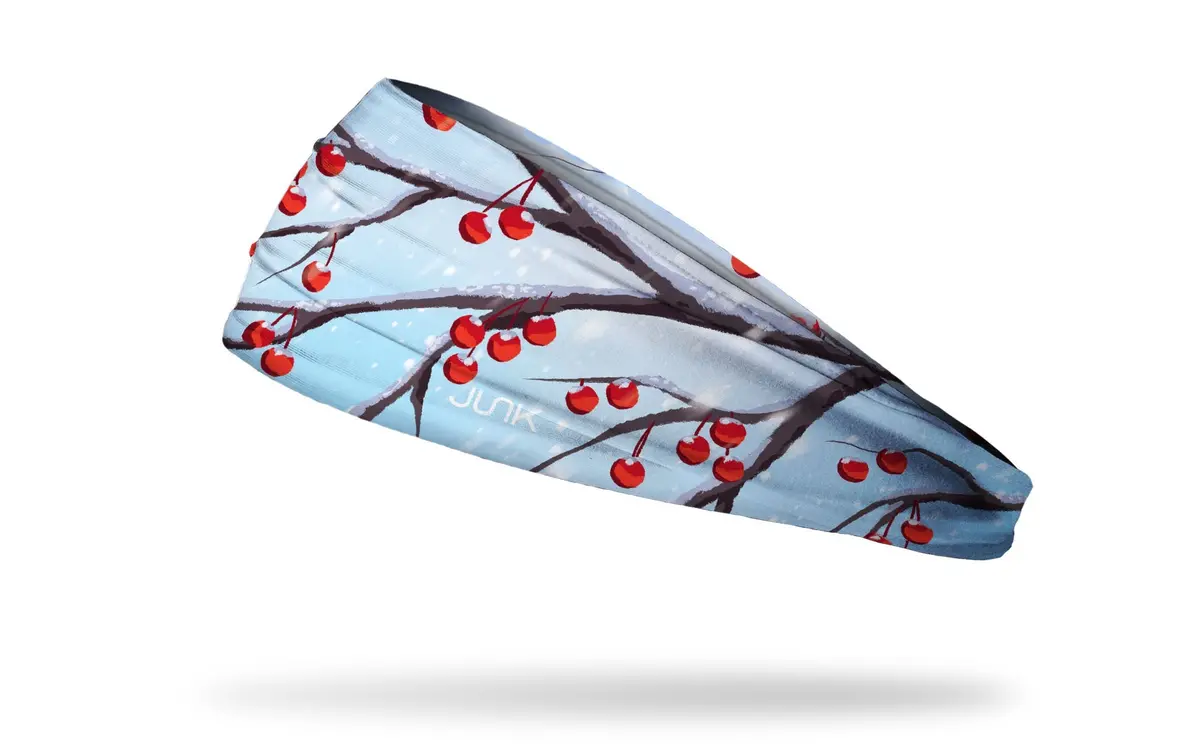 First Frost Big Bang Lite Headband 1