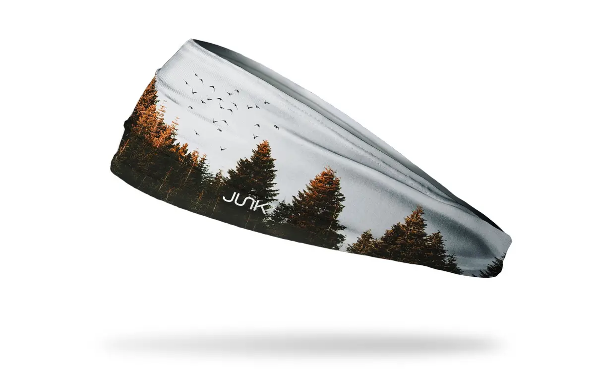 Forest Flight Big Bang Lite Headband 1