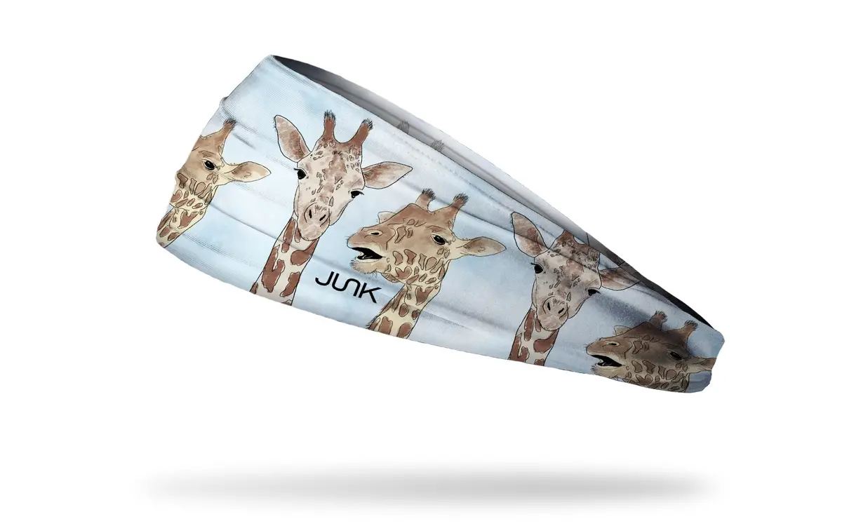 Friendly Fellow Big Bang Lite Headband 1
