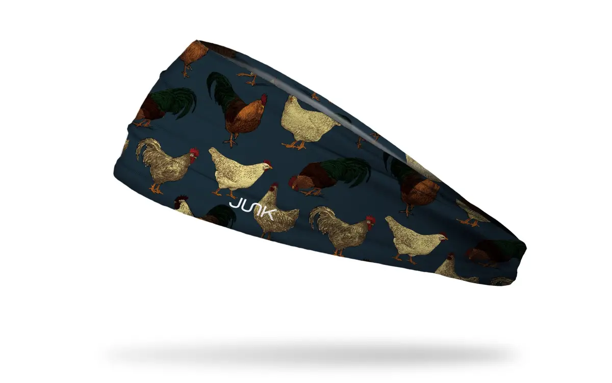 Hen House Big Bang Lite Headband 1