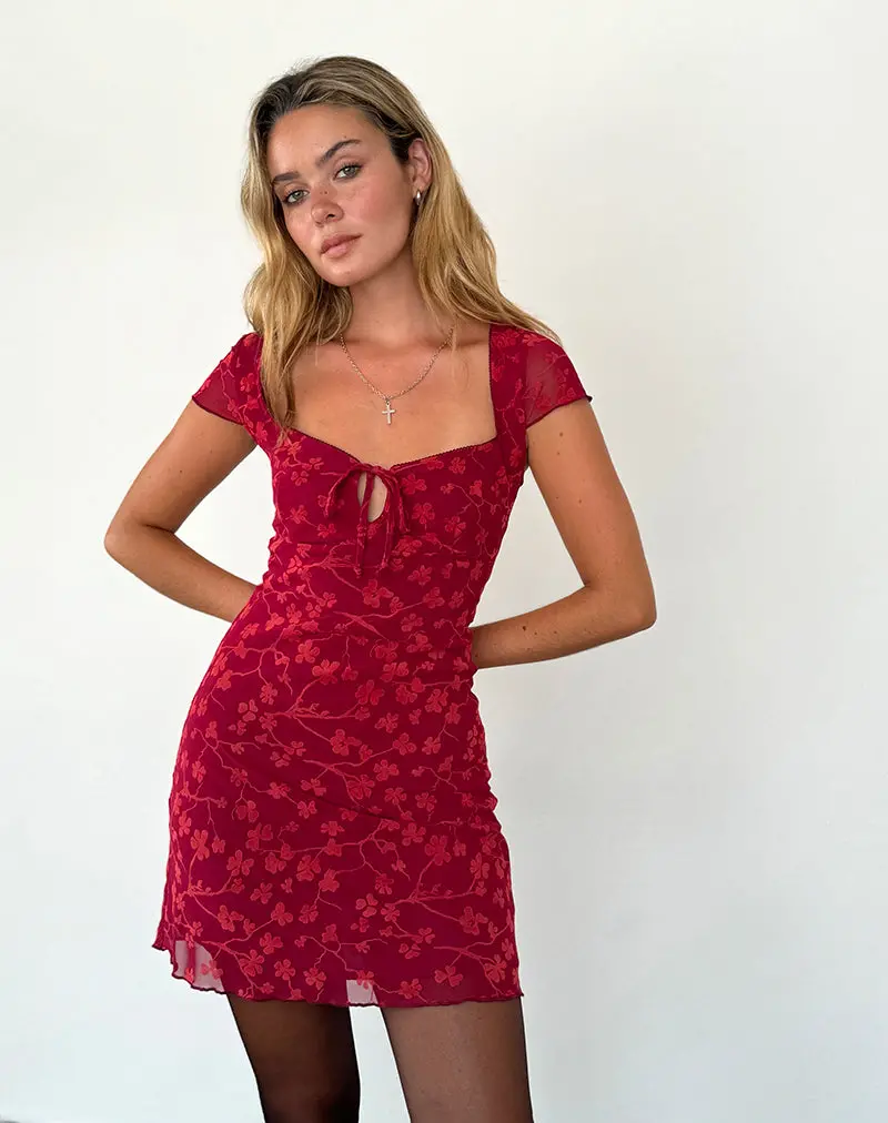 Lashka Mini Dress In Red Grunge Floral Flock 1