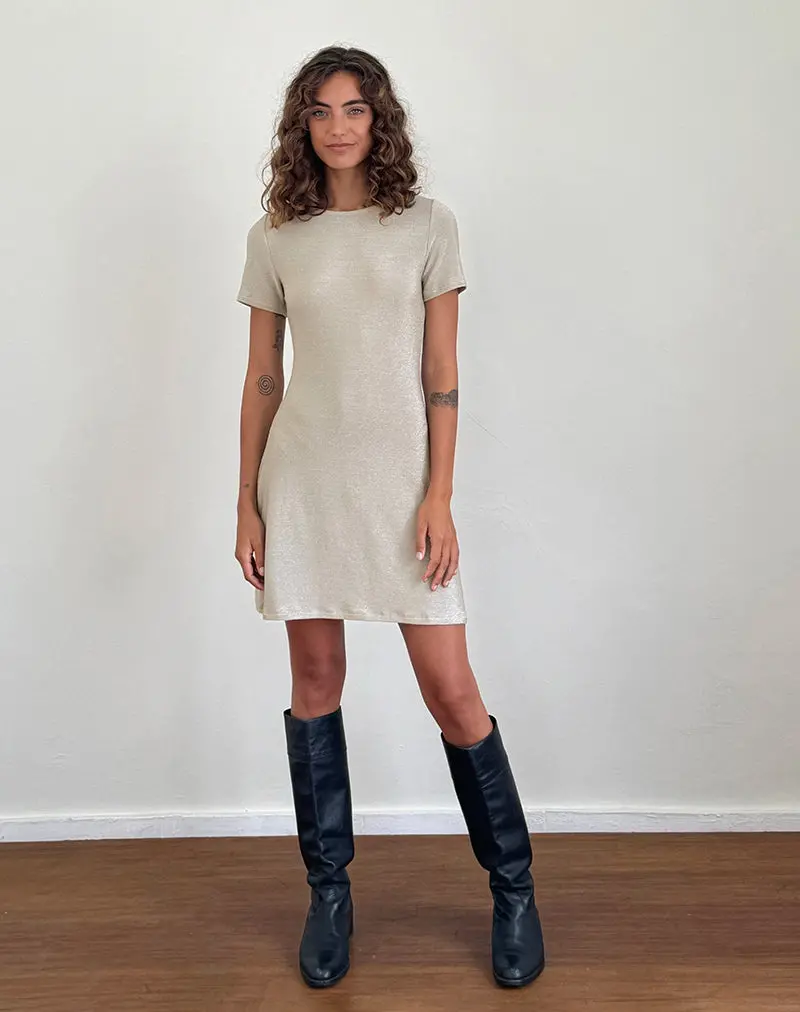 Leora Mini Dress In Silver Mink 5