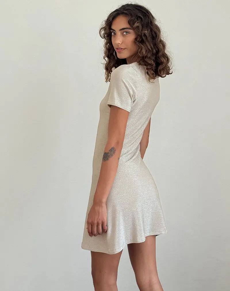 Leora Mini Dress In Silver Mink 4