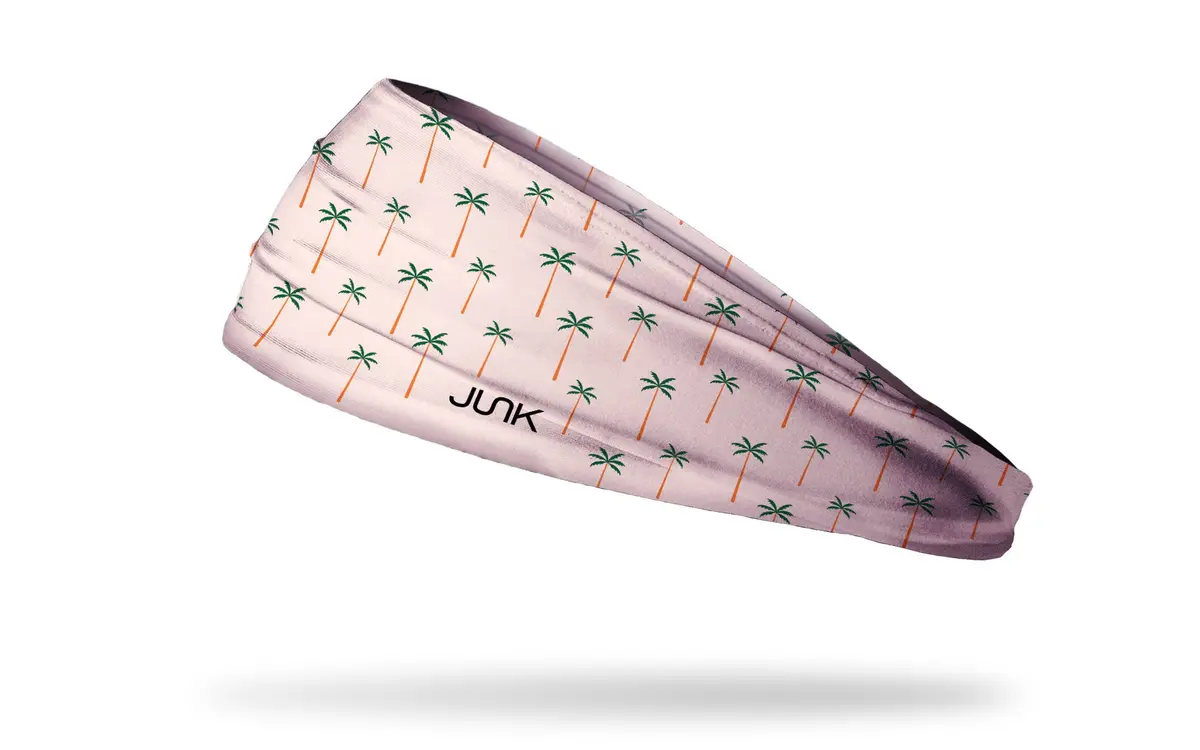 Palm Desert Big Bang Lite Headband 1
