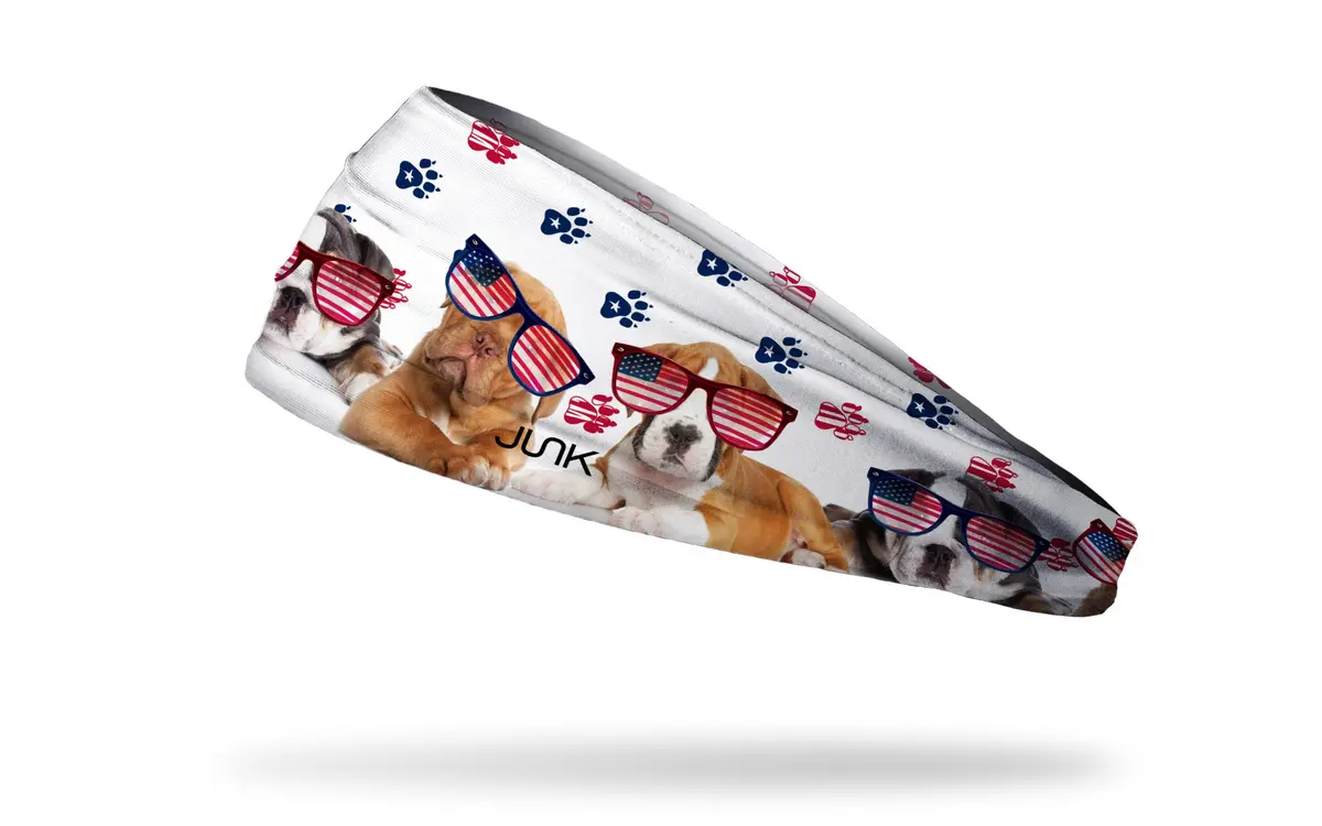 Patriot Pups Big Bang Lite Headband 1