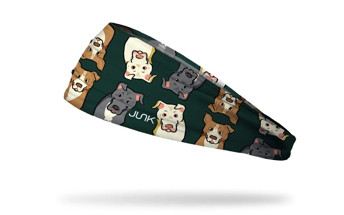 Pit Pals Big Bang Lite Headband 1