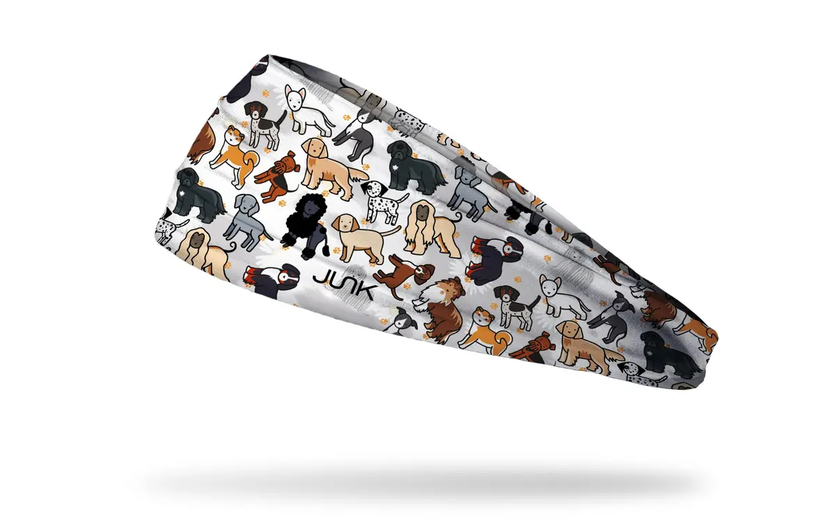Puppy Pandemonium Big Bang Lite Headband 1