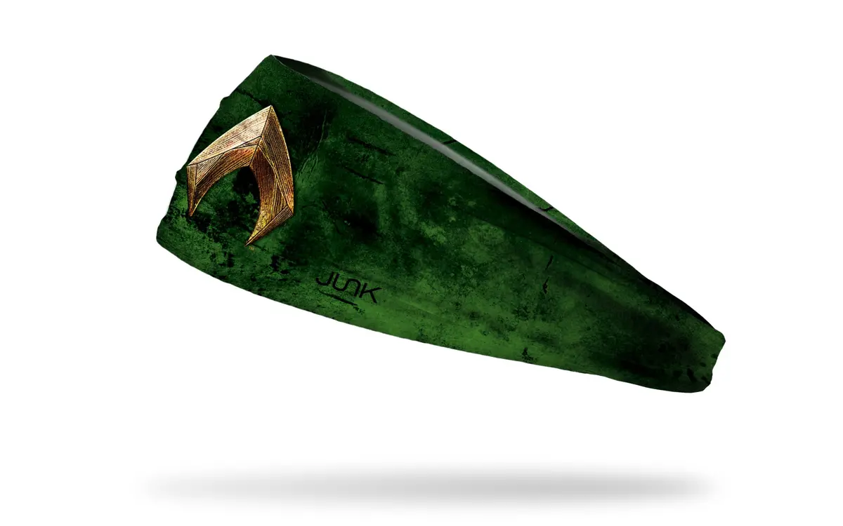 Aquaman: Justice League Logo Big Bang Lite Headband 1