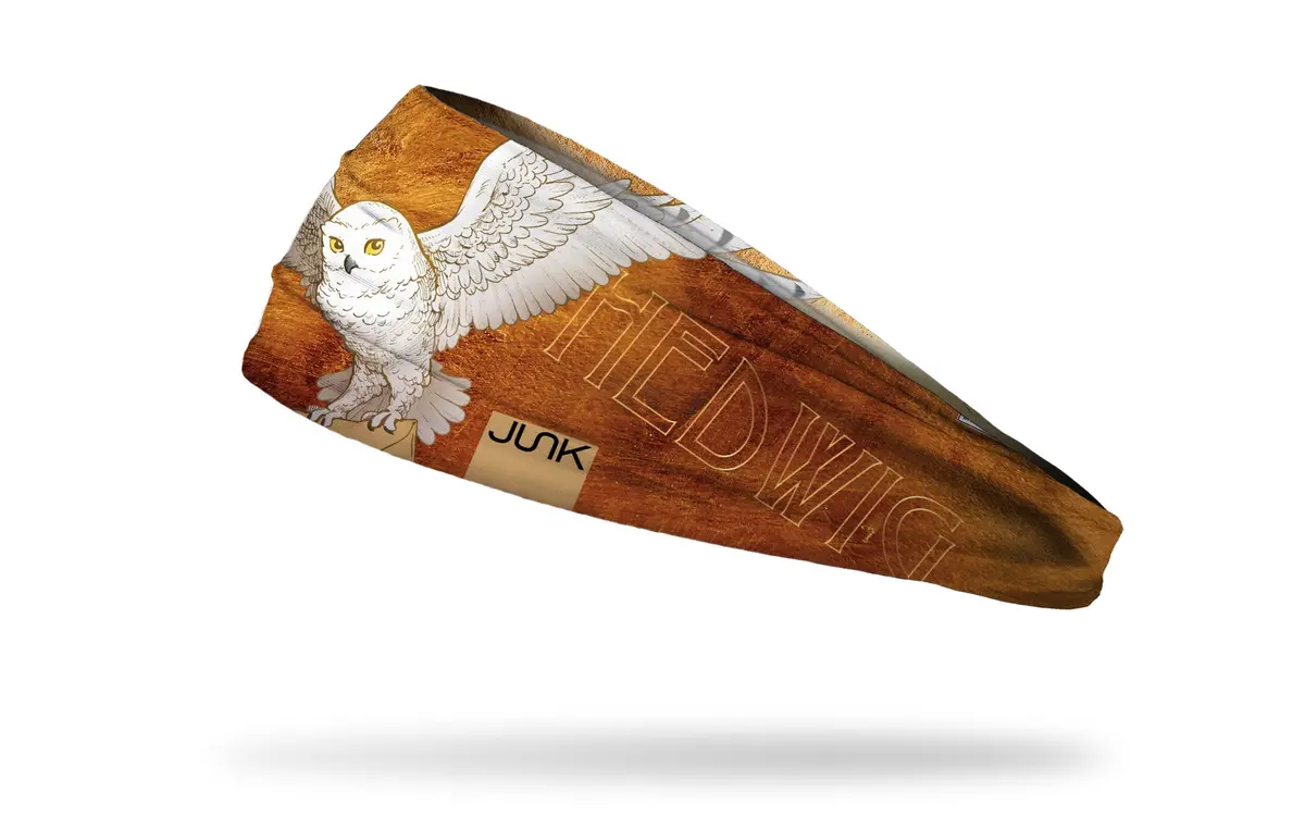 Harry Potter: Hedwig Big Bang Lite Headband 1