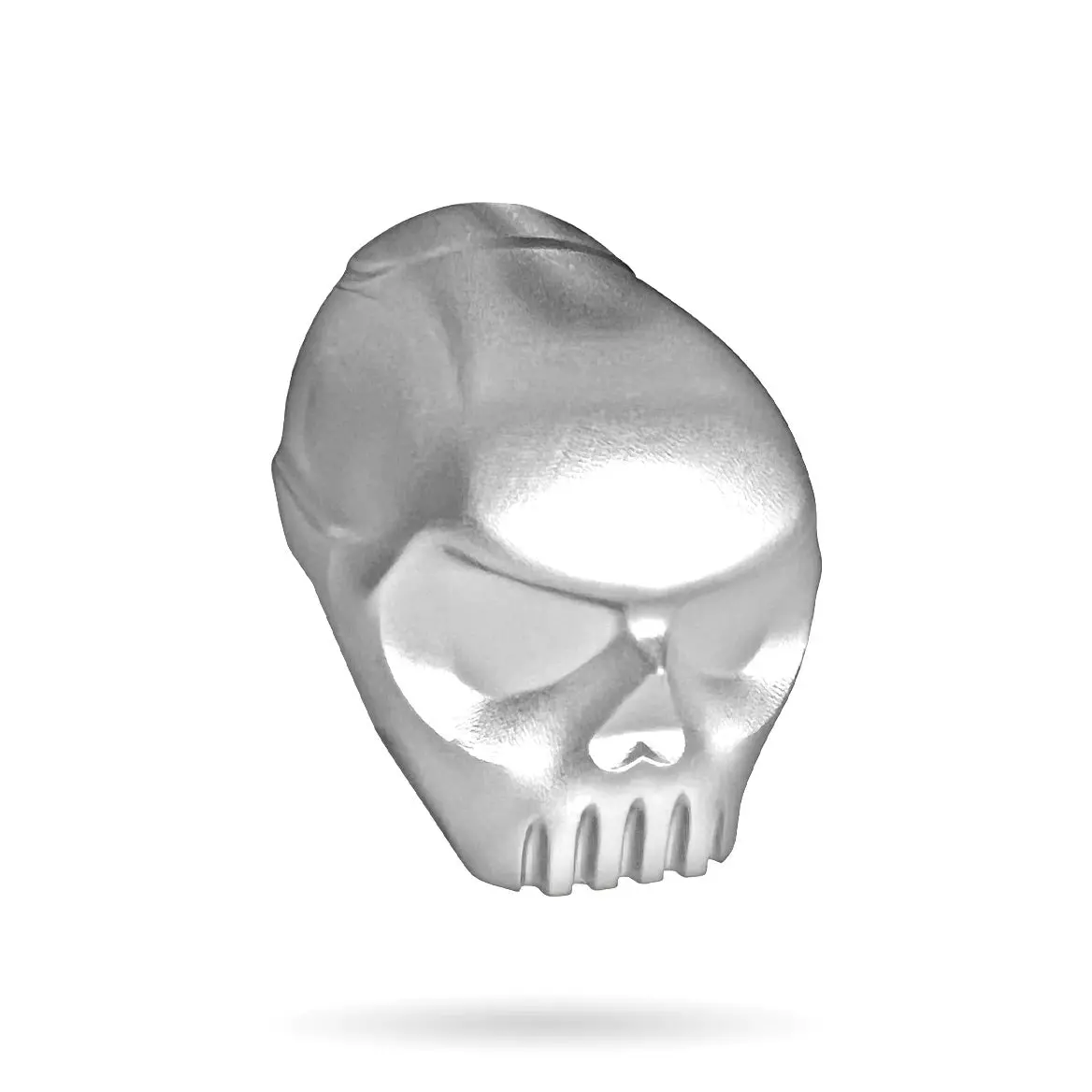 Infamous 170R Skull Back Cap - Silver 1
